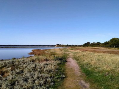 Holiday house 10 person holiday home in Rønde-By Traum - Outdoor photo 13