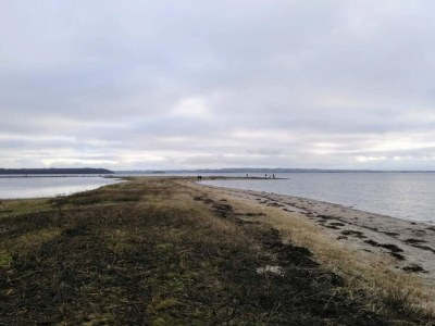 Holiday house 10 person holiday home in Rønde-By Traum - Outdoor photo 38