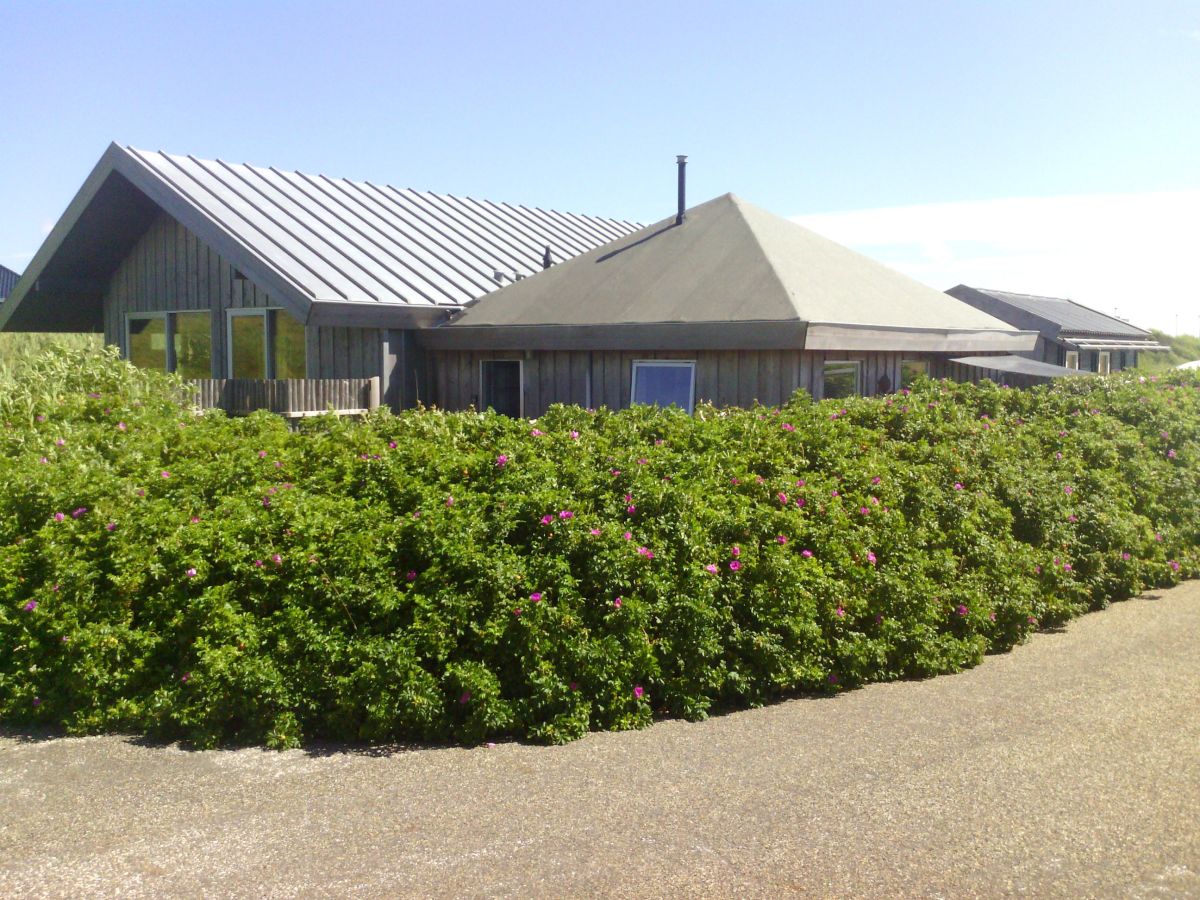 Holiday apartment Petten by the Sea - Outdoor photo 2