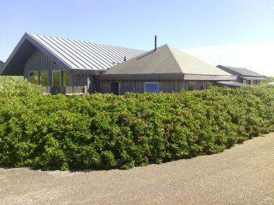 Holiday apartment Petten by the Sea - Outdoor photo 2