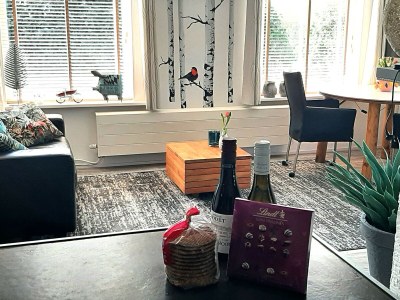 Holiday apartment Petten by the Sea - Features photo 10