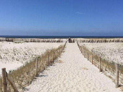 Holiday apartment Petten by the Sea - Environment photo 14