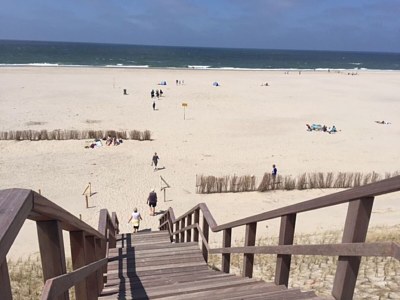 Holiday apartment Petten by the Sea - Environment photo 19