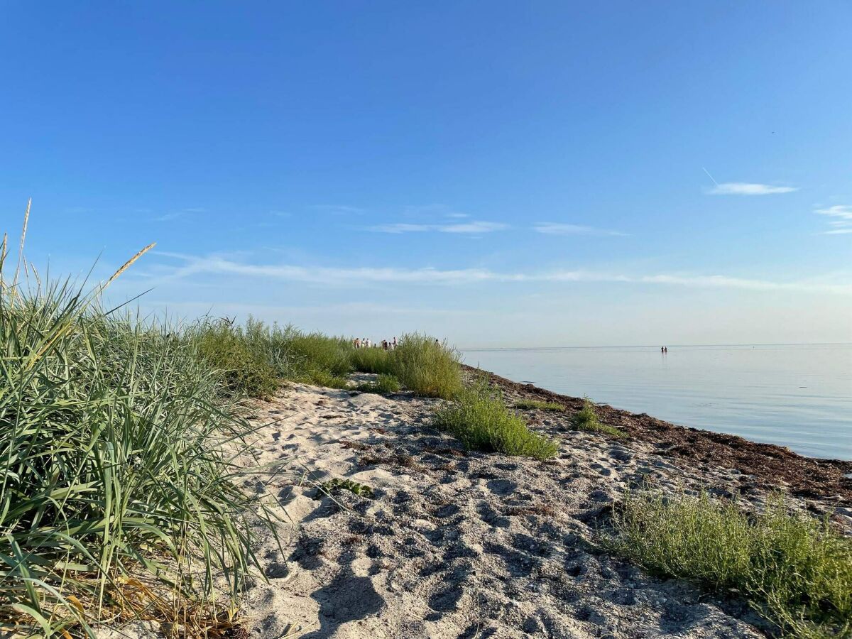 Holiday house 10 Personen Ferienhaus in Dragør-By Traum - Outdoor photo 5