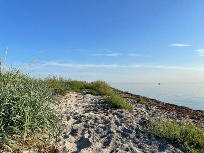 Holiday house 10 Personen Ferienhaus in Dragør-By Traum - Outdoor photo 5