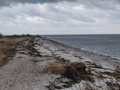 Holiday house 10 Personen Ferienhaus in Dragør-By Traum - Outdoor photo 7