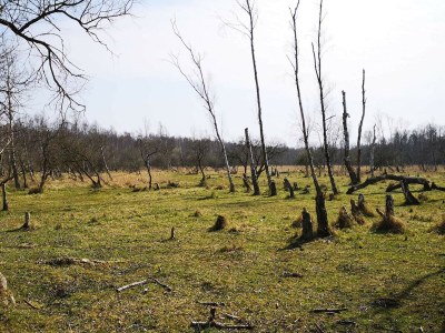 Holiday house 10 Personen Ferienhaus in Dragør-By Traum - Outdoor photo 24