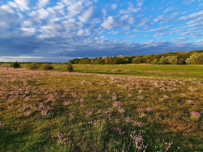 Holiday house 10 Personen Ferienhaus in Dragør-By Traum - Outdoor photo 25