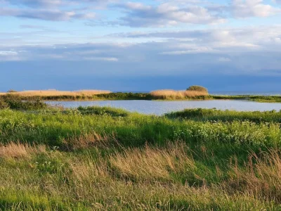 Holiday house 10 Personen Ferienhaus in Dragør-By Traum - Outdoor photo 30