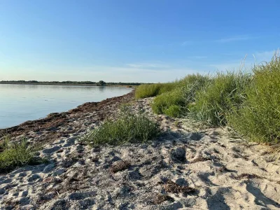 Holiday house 10 Personen Ferienhaus in Dragør-By Traum - Outdoor photo 32