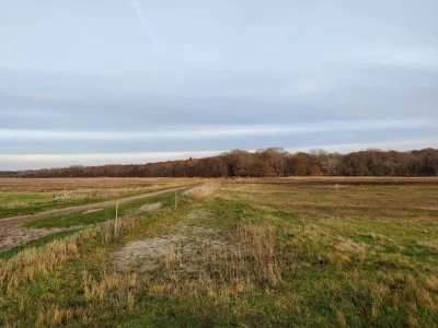 Holiday house 10 Personen Ferienhaus in Dragør-By Traum - Outdoor photo 34