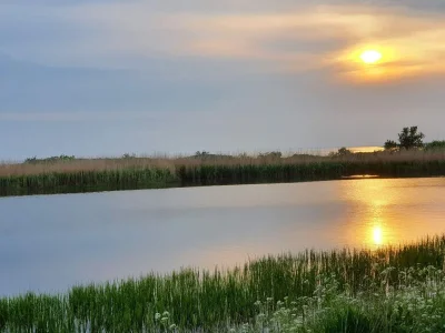 Holiday house 10 Personen Ferienhaus in Dragør-By Traum - Outdoor photo 35