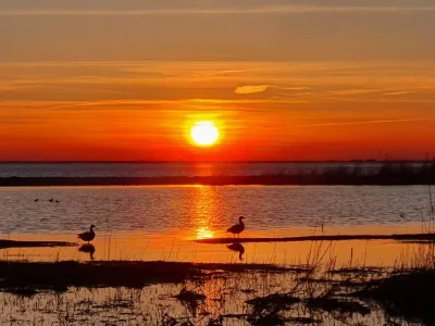 Holiday house 10 Personen Ferienhaus in Dragør-By Traum - Outdoor photo 36