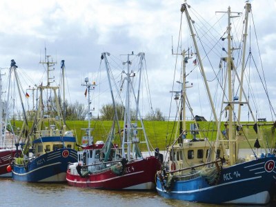 Holiday house Doppelhaushälfte in Neßmersiel - Environment photo 16