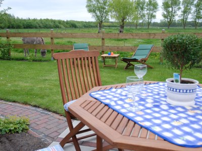 Holiday apartment Doris Harms - Outdoor photo 6