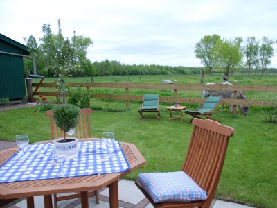 Holiday apartment Doris Harms - Outdoor photo 7