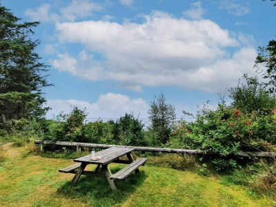 Holiday house 6 person holiday home in Ulfborg-By Traum - Outdoor photo 6