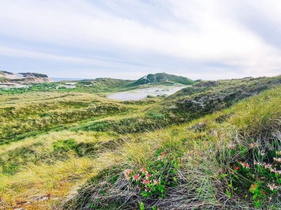 Holiday house 6 person holiday home in Ulfborg-By Traum - Outdoor photo 7