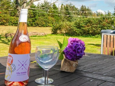 Holiday house 6 person holiday home in Ulfborg-By Traum - Outdoor photo 13