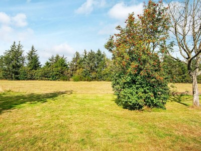 Holiday house 6 person holiday home in Ulfborg-By Traum - Outdoor photo 20