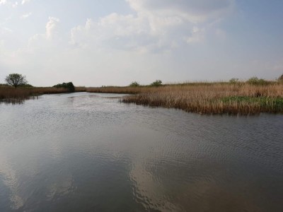 Holiday house 6 person holiday home in Ulfborg-By Traum - Outdoor photo 35