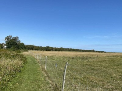 Holiday house 8 person holiday home in Hadsund-By Traum - Outdoor photo 30