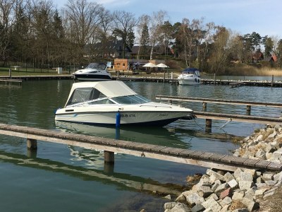 Holiday house Ferienhaus Müritzhus an der Müritz - Environment photo 16