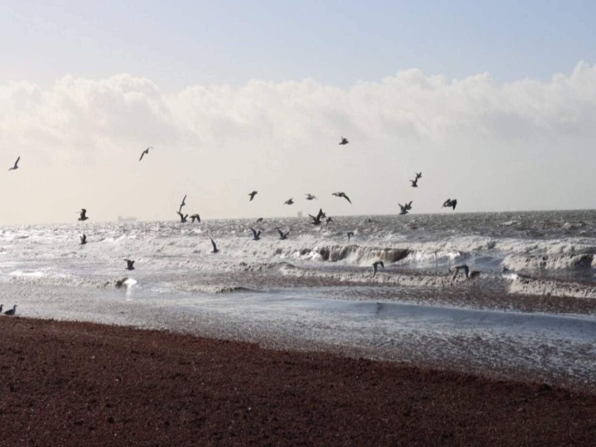 Holiday house 8 Personen Ferienhaus in Rødby-By Traum - Outdoor photo 4