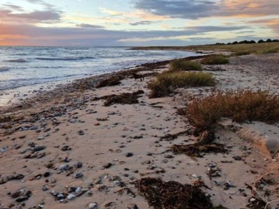Holiday house 8 Personen Ferienhaus in Rødby-By Traum - Outdoor photo 7