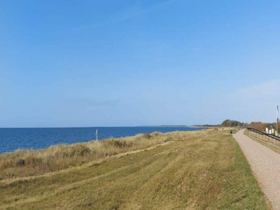 Holiday house 8 Personen Ferienhaus in Rødby-By Traum - Outdoor photo 10