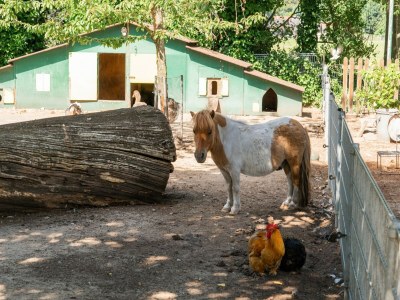 Holiday house Chalet in Reutum by Almelo Nordhorn Canal - Environment photo 36