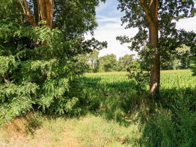 Holiday house Chalet in Reutum by Almelo Nordhorn Canal - Environment photo 38