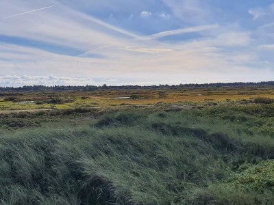 Holiday house 10 Personen Ferienhaus in Fjerritslev-By Traum - Outdoor photo 31