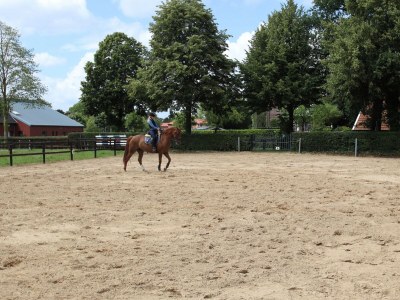 Apartment Reihenhaus in Strackholt mit beheiztem Pool - Outdoor photo 11