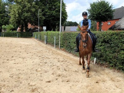 Apartment Reihenhäuser in Strackholt - Environment photo 32