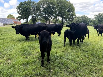 Apartment Reihenhäuser in Strackholt - Environment photo 34