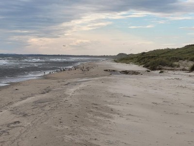 Holiday house 8 Personen Ferienhaus in Ålbæk-By Traum - Outdoor photo 21