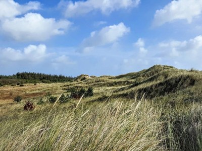 Holiday house 8 Personen Ferienhaus in Ålbæk-By Traum - Outdoor photo 33