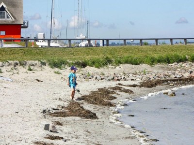 Holiday house Ferienhaus Lotte in Vieregge - Outdoor photo 14