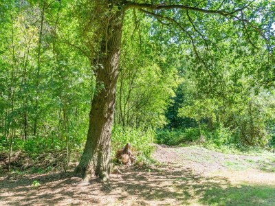 Holiday house Ferienhaus in Lochem mit Gartenblick - Environment photo 31