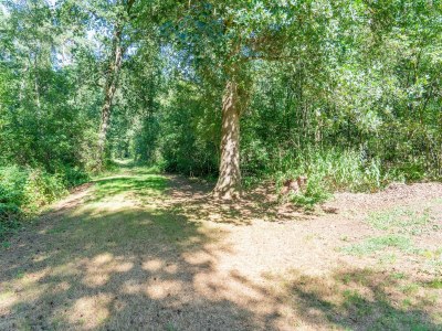 Holiday house Ferienhaus in Lochem mit Gartenblick - Environment photo 32