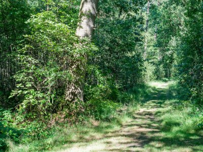 Holiday house Ferienhaus in Lochem mit Gartenblick - Environment photo 33
