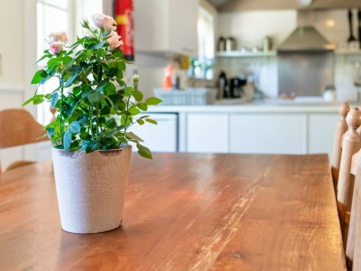 Farmhouse Farmhouse in Giethoorn by the Canals - Outdoor photo 31