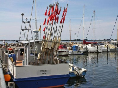 Apartment Ferienwohnung Großer Seestern in Wiek - Environment photo 25