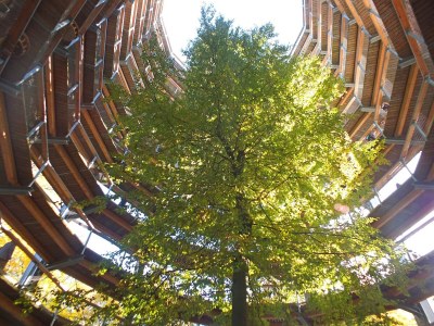 Apartment Ferienwohnung Großer Seestern in Wiek - Environment photo 29