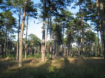 Holiday house 8 Personen Ferienhaus in Væggerløse-By Traum - Outdoor photo 12