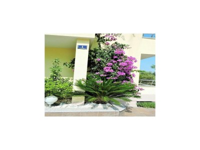 Apartment Apartments Villa Moonlight - Two Bedroom Apartment with Sea View Terrace(Family) - Outdoor photo 3