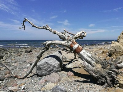 Holiday house Ferienhaus Klint in Lancken - Outdoor photo 29