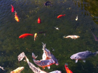 Holiday apartment Blau - Environment photo 15