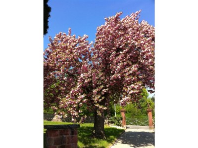 Holiday apartment Blau - Environment photo 16